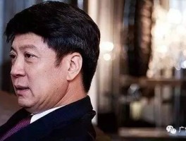 内幕中国好老乡孙宏斌再出手揭秘贾跃亭土豪朋友圈